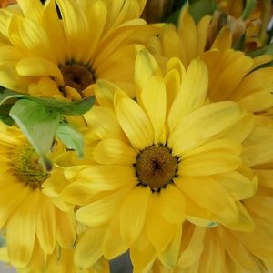 Meet your Posher, Kara